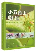 Spiders of Xiaowutai Mountain