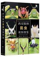Insects of Xishuangbanna Observation Guide