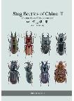 Stag Beetles of China III