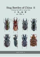 Stag Beetles of China III