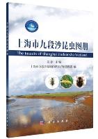 The Insects of Shanghai Jiuduansha Wetland