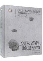 Paleontological Atlas of Hubei Province Vol.2 Coelenterata, Bryozoa, Brachiopoda