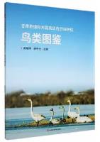 Atlas of Birds in Yangguan Nature Reserve in Dunhuang, Gansu
