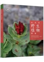 Atlas of Wild Plants in Seda County