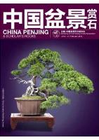 China Penjing & Scholar's Rocks (2012.2)