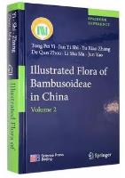 Illustrated Flora of Bambusoideae in China (Volume 2)