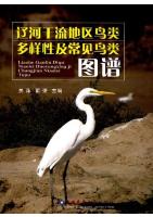 Birds Diversity and Common Birds in the Main Area of  Liao River(Liaohe Ganliu Diqu Niaolei Duoyangxing Ji Changjian Niaolei Tupu)