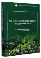 Primary Color Atlas of Vascular Ground Model Plants in Fengtongzhai National Nature Reserve, Sichuan (Baoxing)