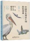 Primary Color Atlas of Common Marine Organisms in China: Birds, Reptiles and Mammals