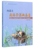 Birds of Nanhaizi Wetland in Inner Mongolia