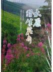 Wild Flowers of Taiyuan