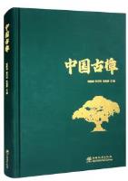 Chinese Ancient Camphor Tree