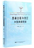 Illustrated Guide to Macrofungi in Jilonggou Area, Xizang