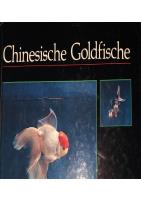 Chinese Goldfish