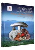 Atlas of Macrofungi from Islands in the South China Sea