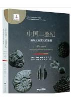 Permian Stratigraphy and Index Fossils of China