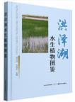 Illustrated Catalogue of Aquatic Plants in Hongze Lake