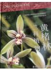 Orchidaceae in Huangchulin National Nature Reserve, Fujian Province