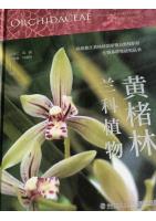Orchidaceae in Huangchulin National Nature Reserve, Fujian Province