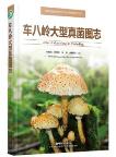 Atlas of Macrofungi in Chebaling