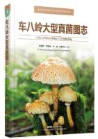 Atlas of Macrofungi in Chebaling