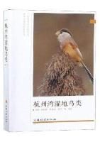 Wetland Birds in Hangzhou Bay