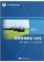 Study and Investigation of  Massive Algae in the Yellow Sea