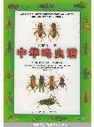 Atlas of Chinese Sound-Producing Insects(Science of Chinese Crickets Illustrated Volume of Sound-Producing Insects)