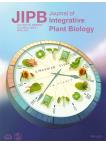 Journal of Integrative Plant Biology Vol.64, Issue 4, Aprial 2022