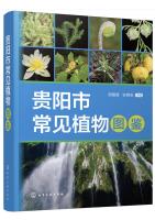 Field Guide to Common Plants in Guiyang City