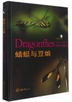 Dragonflies and Damselflies